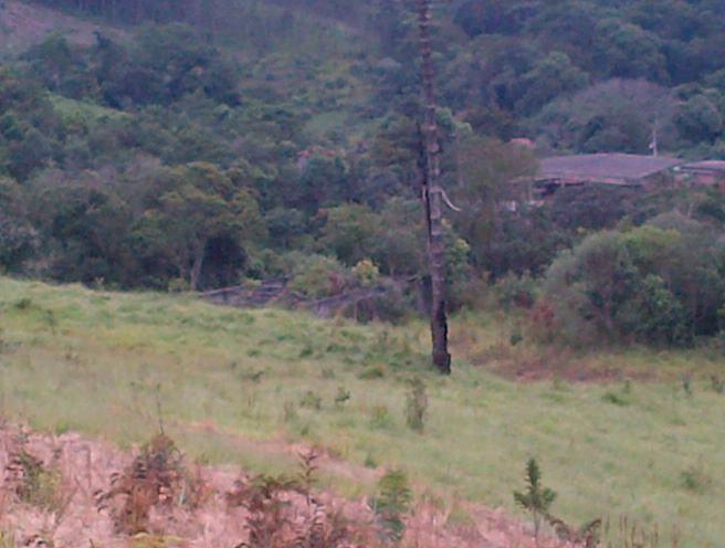 Terreno, 12 hectares - Foto 1