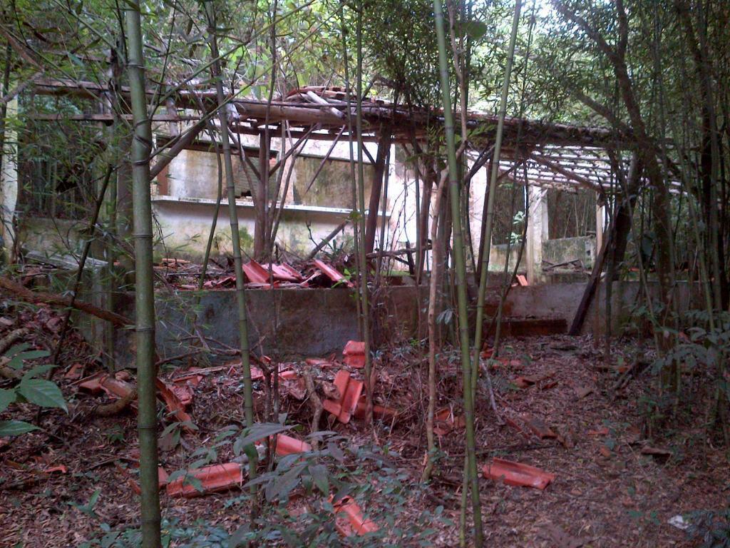 Terreno, 12 hectares - Foto 9