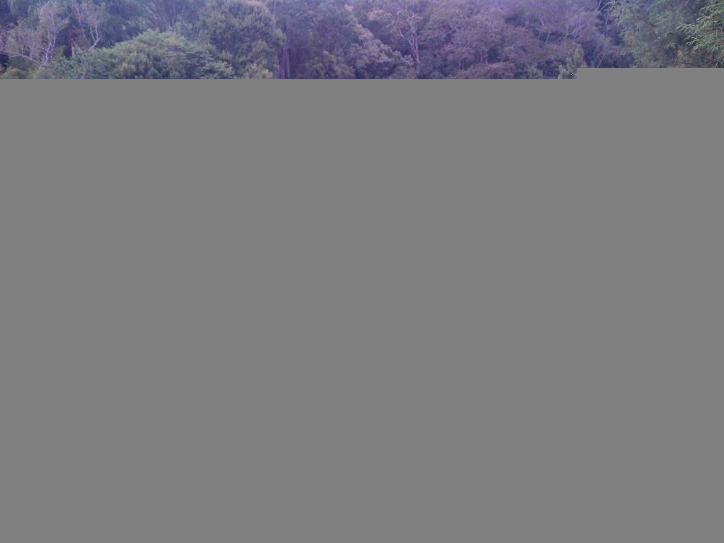 Terreno, 12 hectares - Foto 11