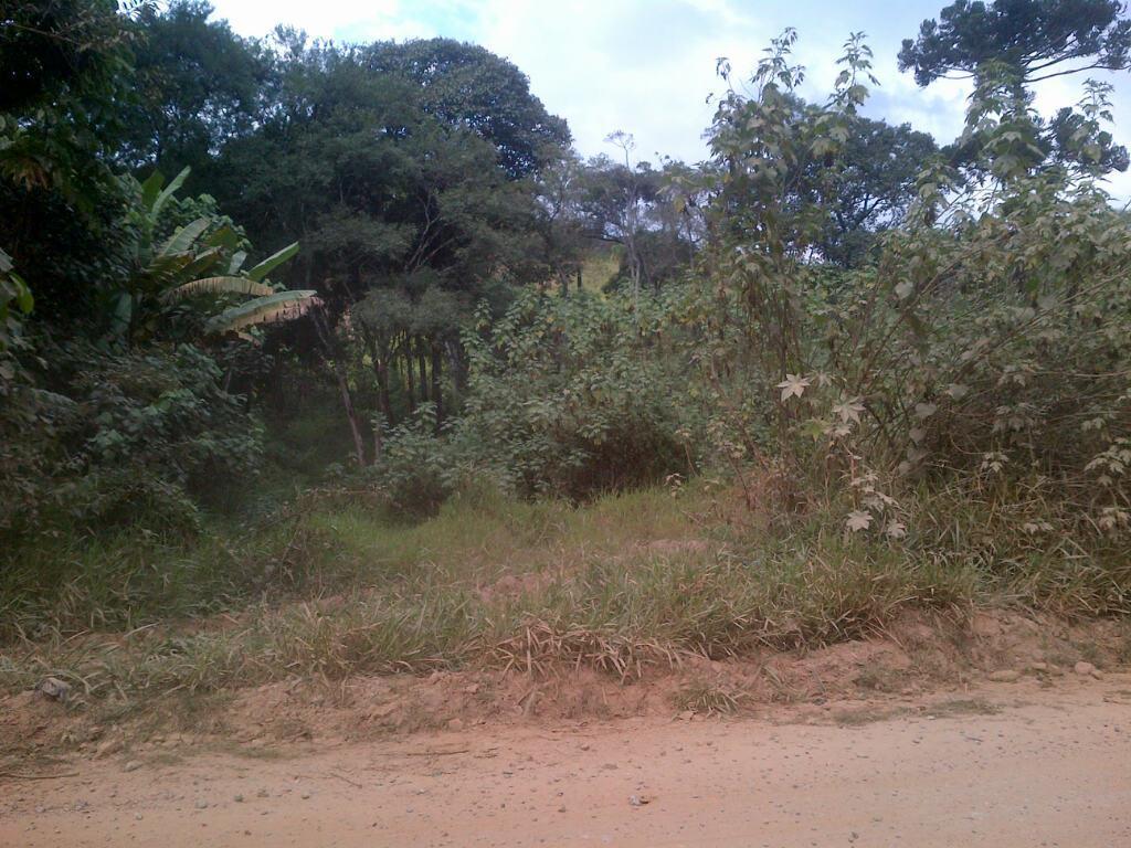 Terreno, 12 hectares - Foto 8