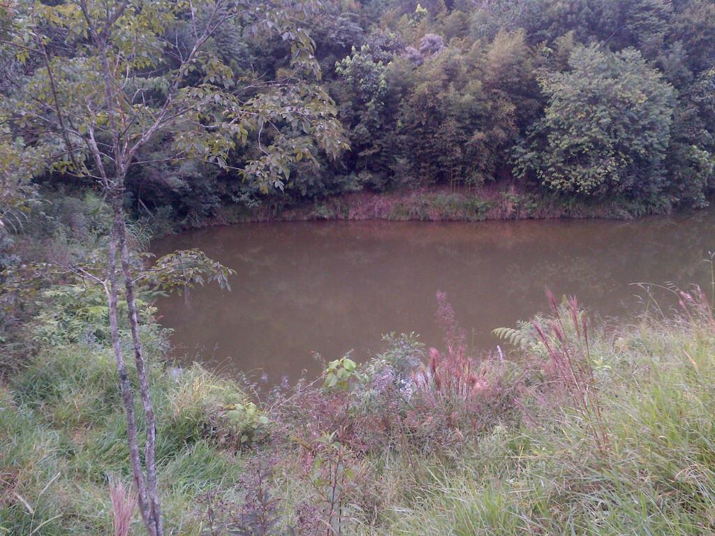 Terreno, 12 hectares - Foto 12