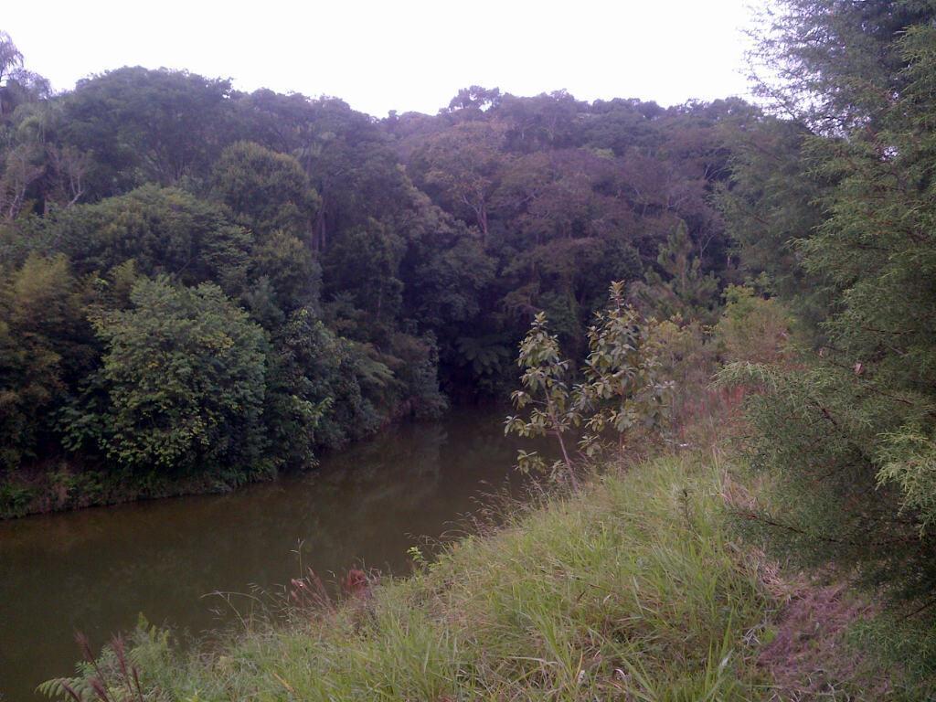 Terreno, 12 hectares - Foto 13