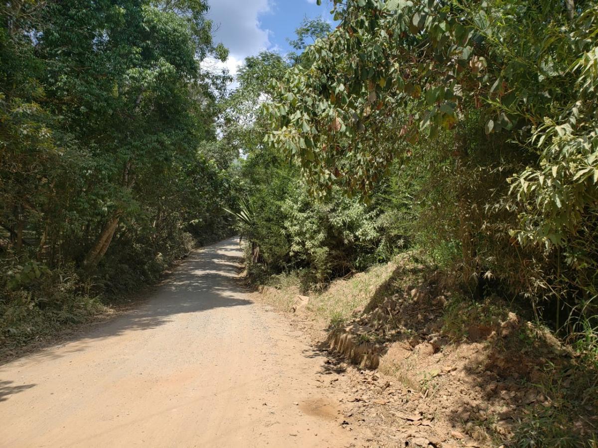 Terreno, 12 hectares - Foto 15