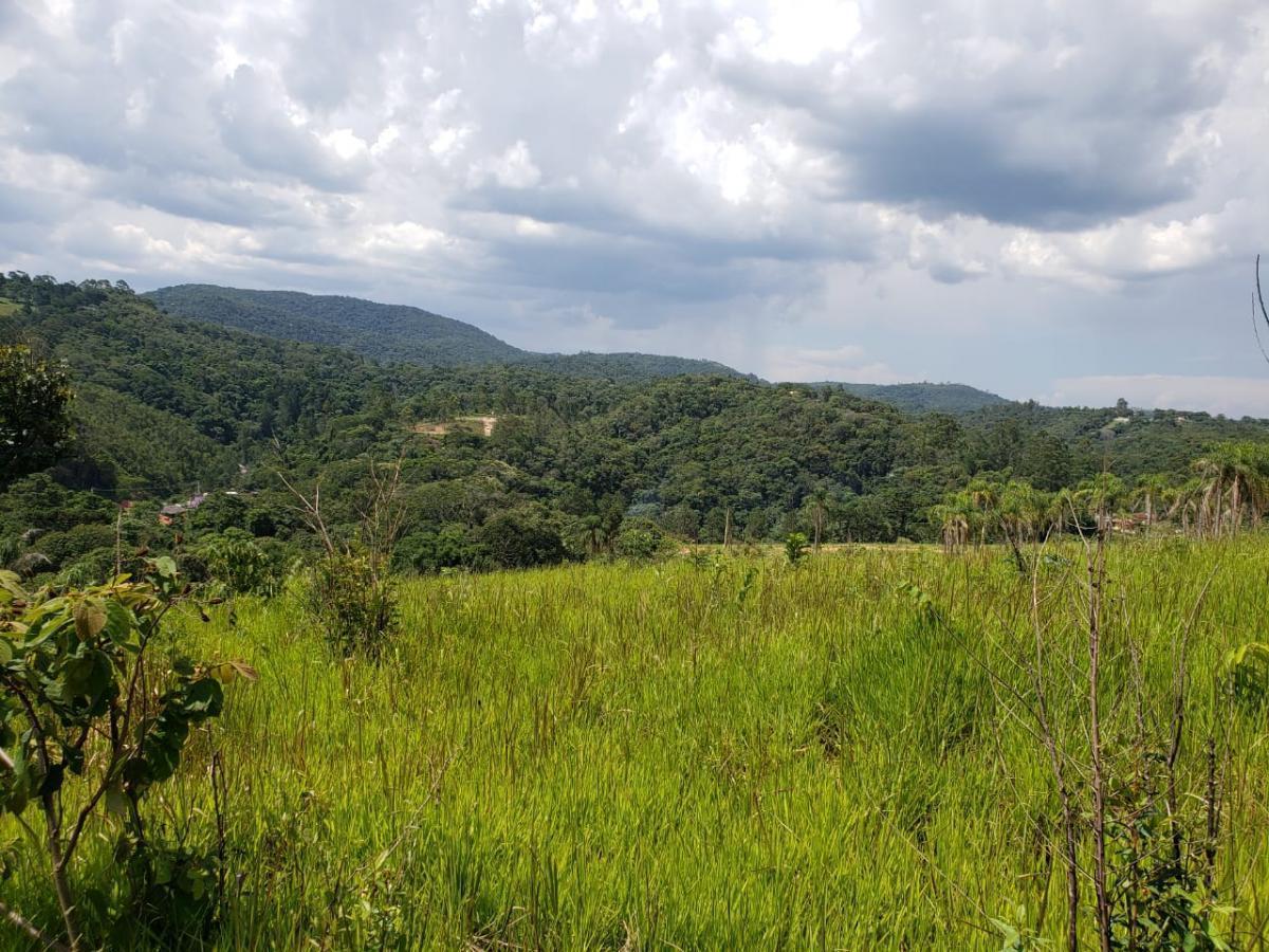 Terreno, 12 hectares - Foto 16