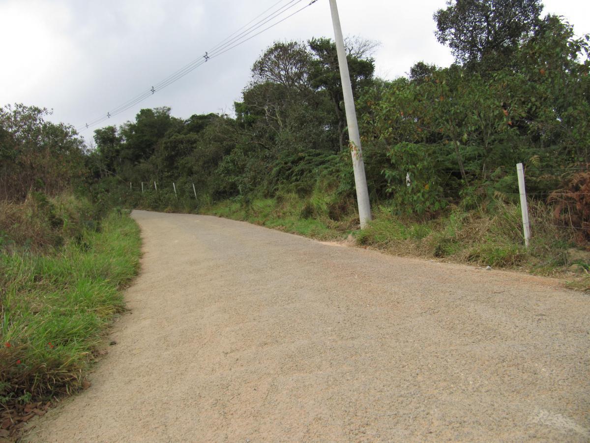 Terreno, 12 hectares - Foto 19