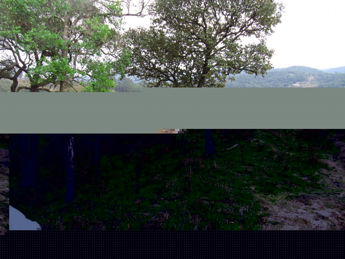 Terreno, 12 hectares - Foto 21