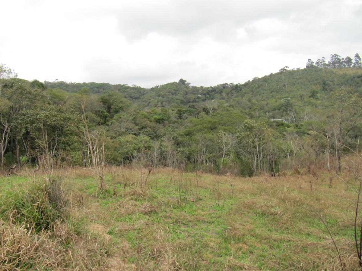 Terreno, 12 hectares - Foto 24