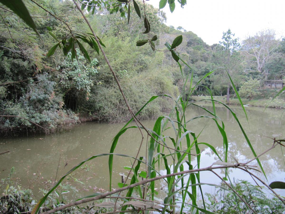 Terreno, 12 hectares - Foto 26