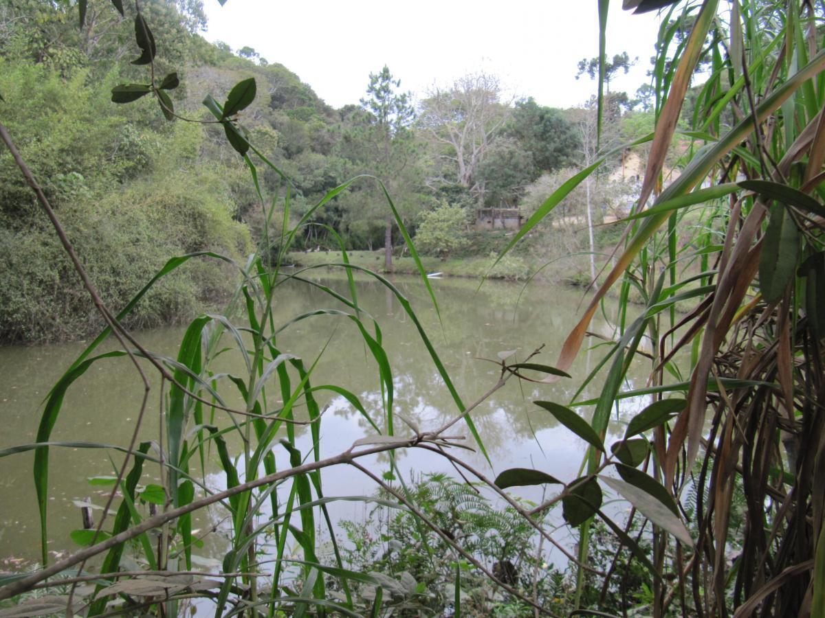 Terreno, 12 hectares - Foto 25