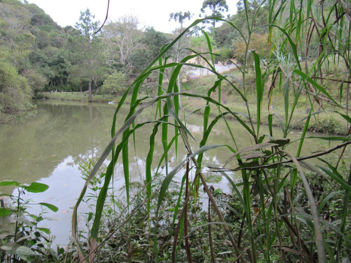 Terreno, 12 hectares - Foto 27