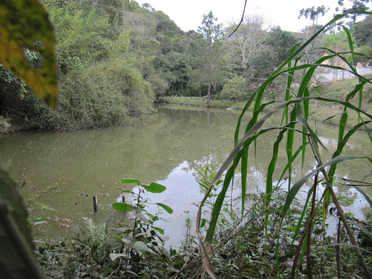 Terreno, 12 hectares - Foto 28