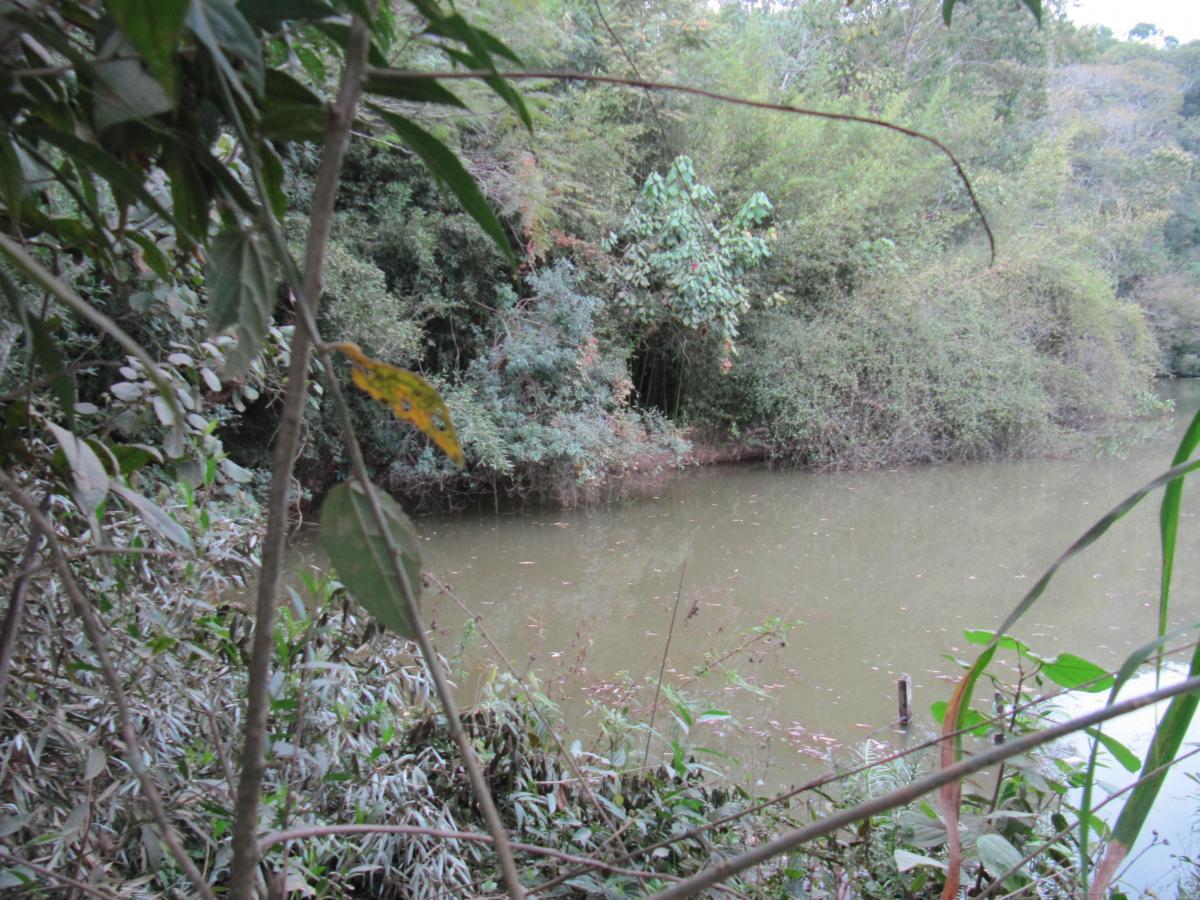 Terreno, 12 hectares - Foto 29