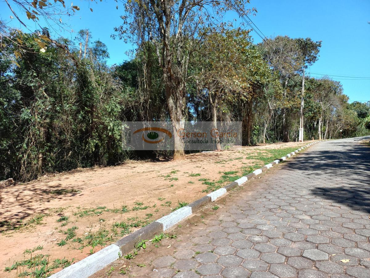 Terreno, 2456 m² - Foto 2