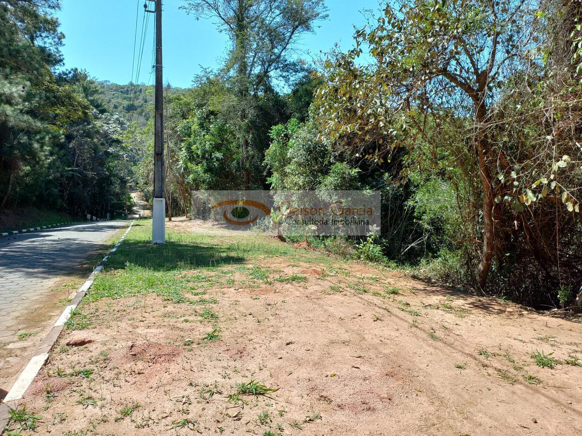 Terreno, 2456 m² - Foto 5