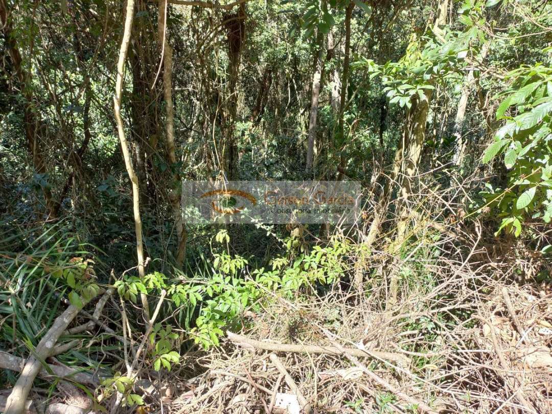 Terreno, 2456 m² - Foto 7