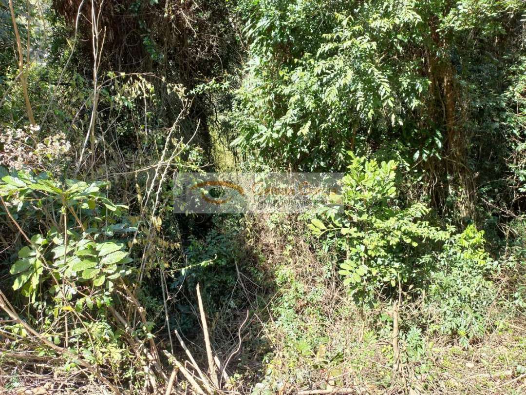 Terreno, 2456 m² - Foto 8