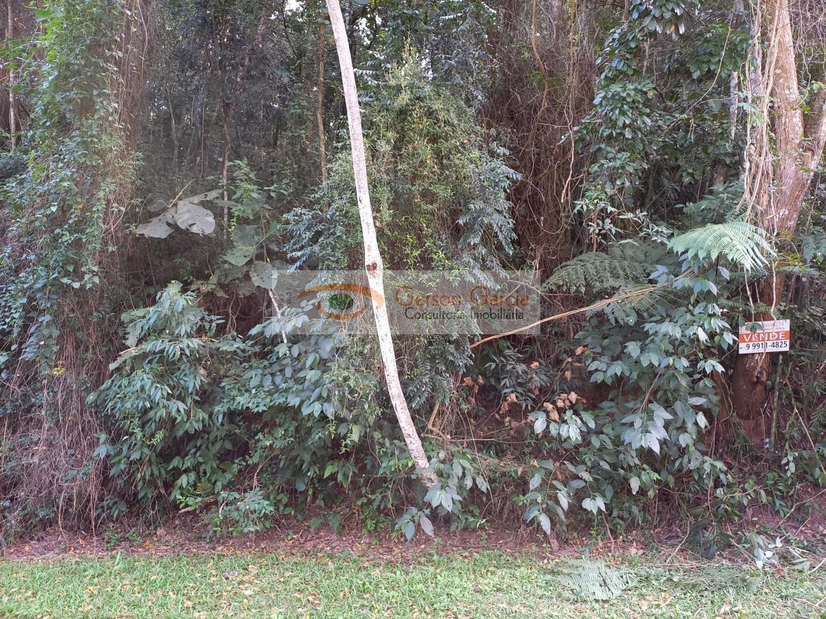 Terreno, 1280 m² - Foto 6