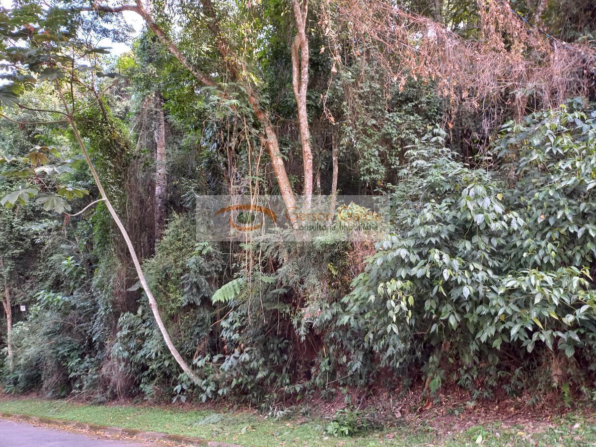 Terreno, 1280 m² - Foto 12