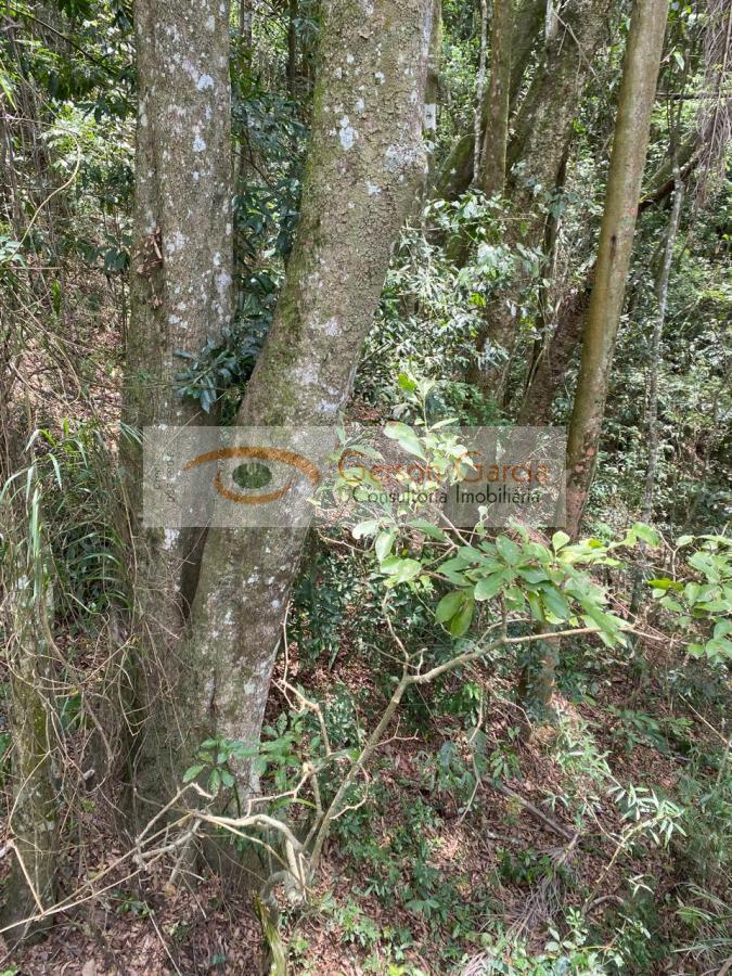 Terreno, 2400 m² - Foto 14