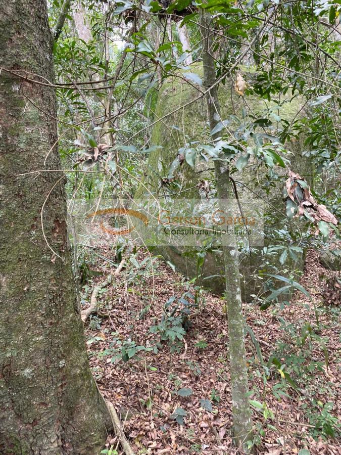 Terreno, 2400 m² - Foto 13