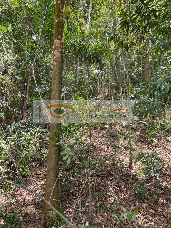 Terreno, 2400 m² - Foto 15