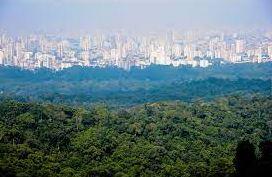 Terreno, 1110 m² - Foto 7