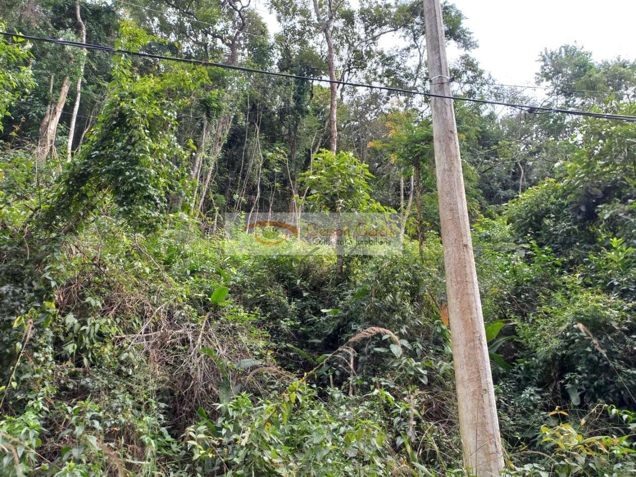 Terreno, 1192 m² - Foto 5