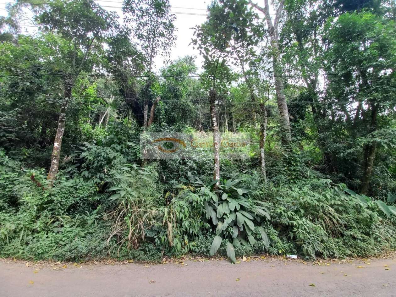 Terreno, 1192 m² - Foto 12