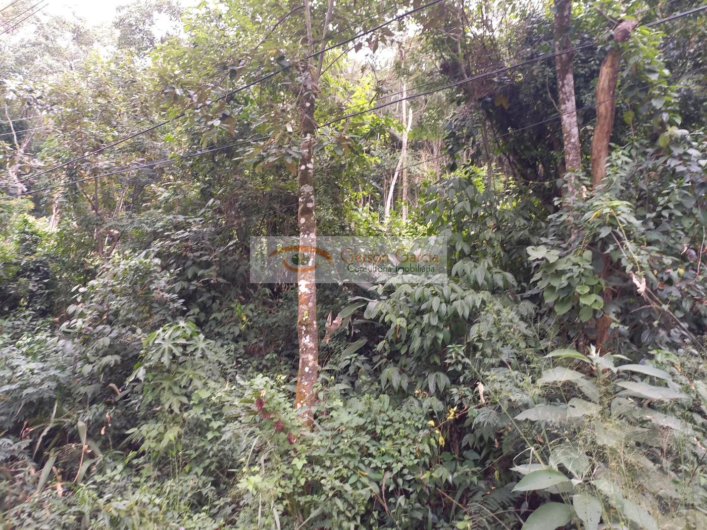 Terreno, 1192 m² - Foto 17