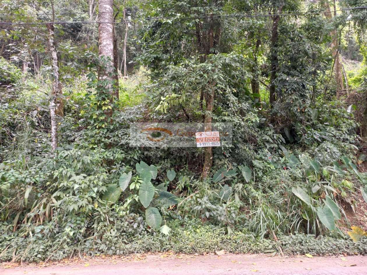 Terreno, 1192 m² - Foto 3