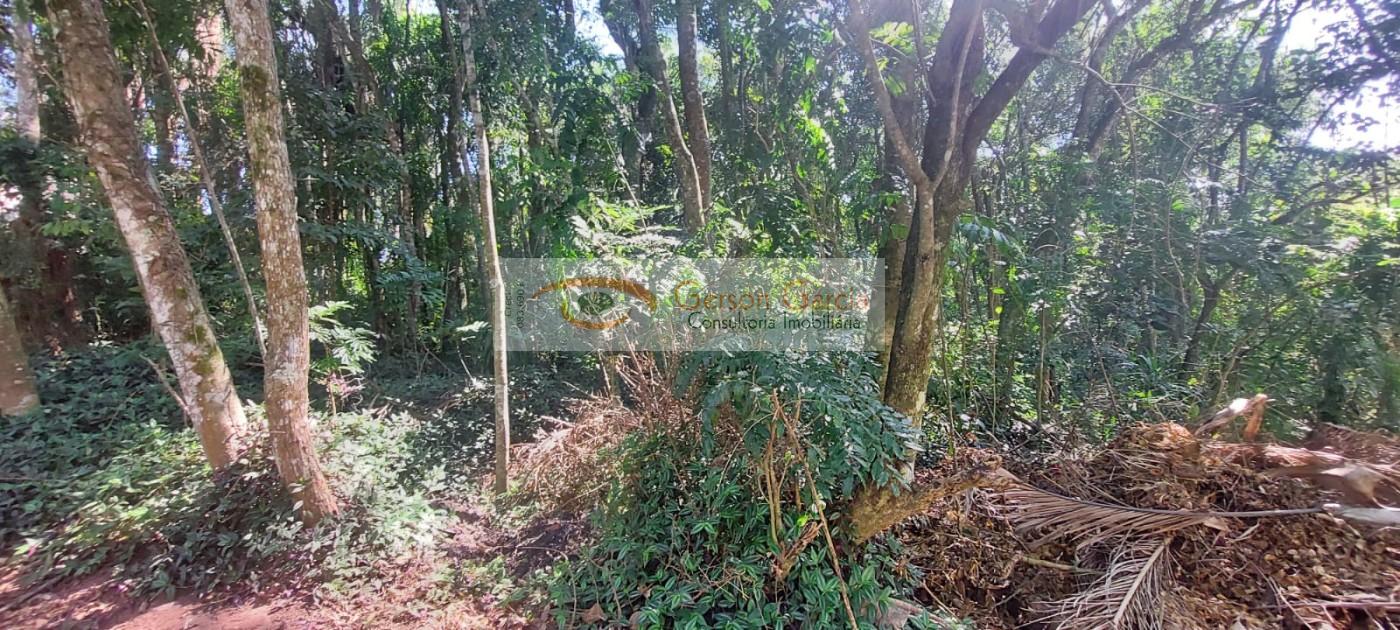 Terreno, 1424 m² - Foto 12