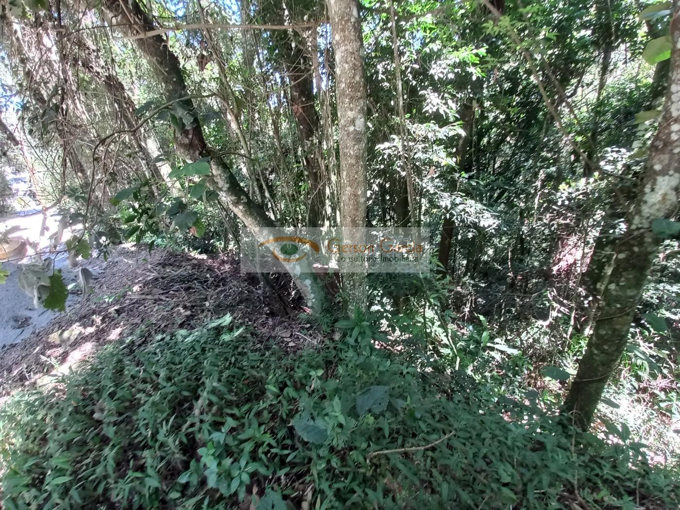 Terreno, 1080 m² - Foto 7