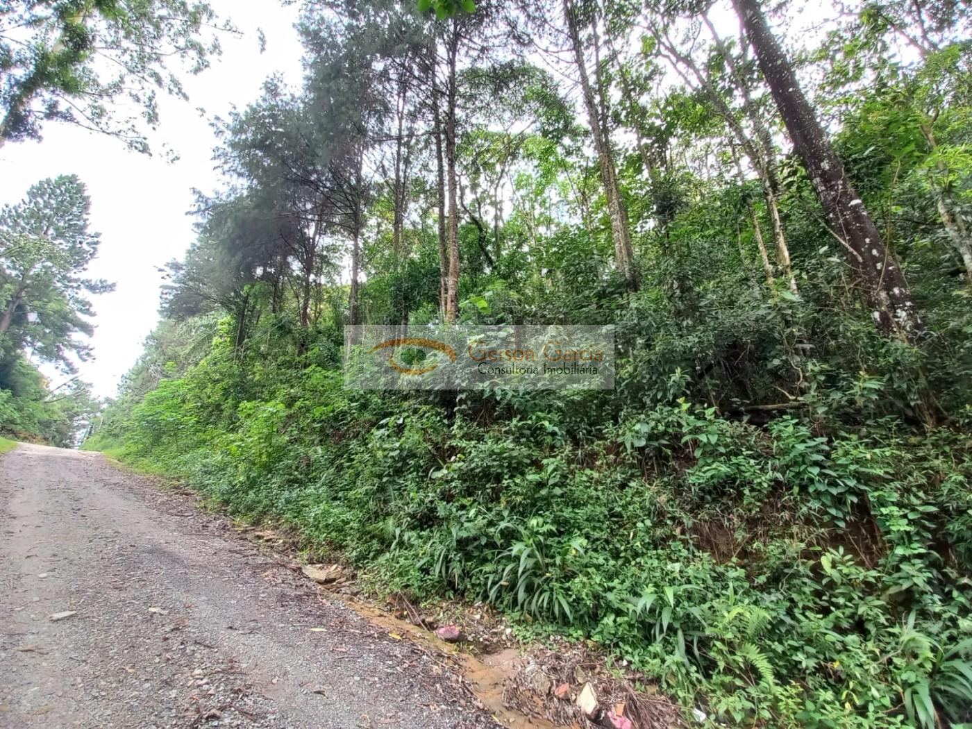 Terreno, 1000 m² - Foto 6