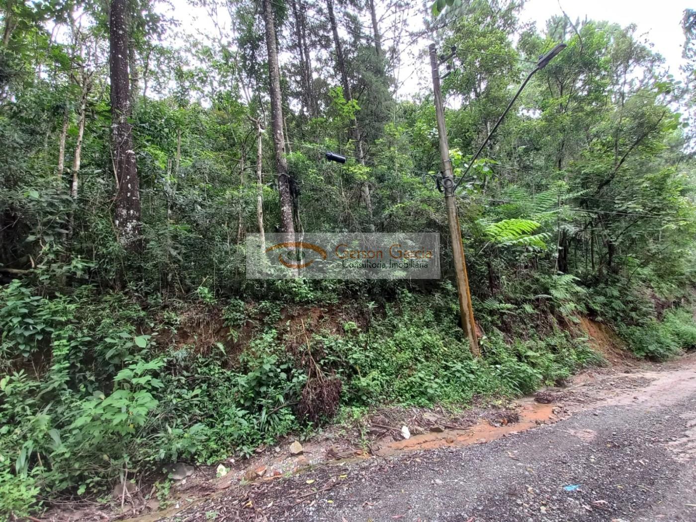 Terreno, 1000 m² - Foto 1
